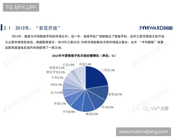 针对PA视讯集团发展中的挑战与机遇提供积极应对策略分析